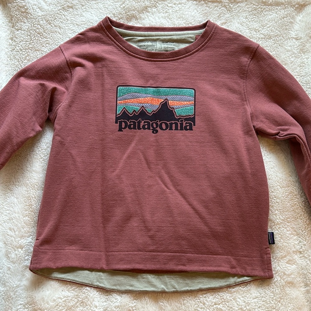 Patagonia Sweater